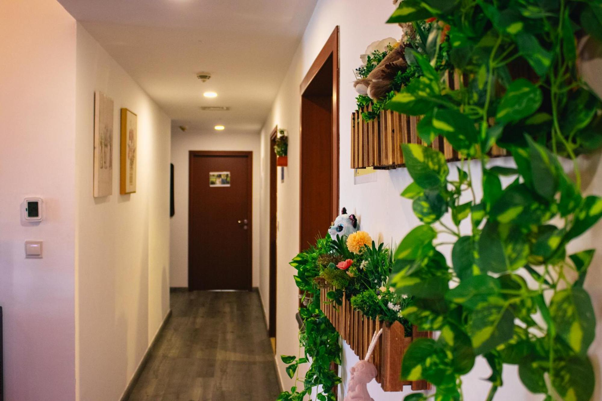 Lunar Hostel 96 迪拜 外观 照片
